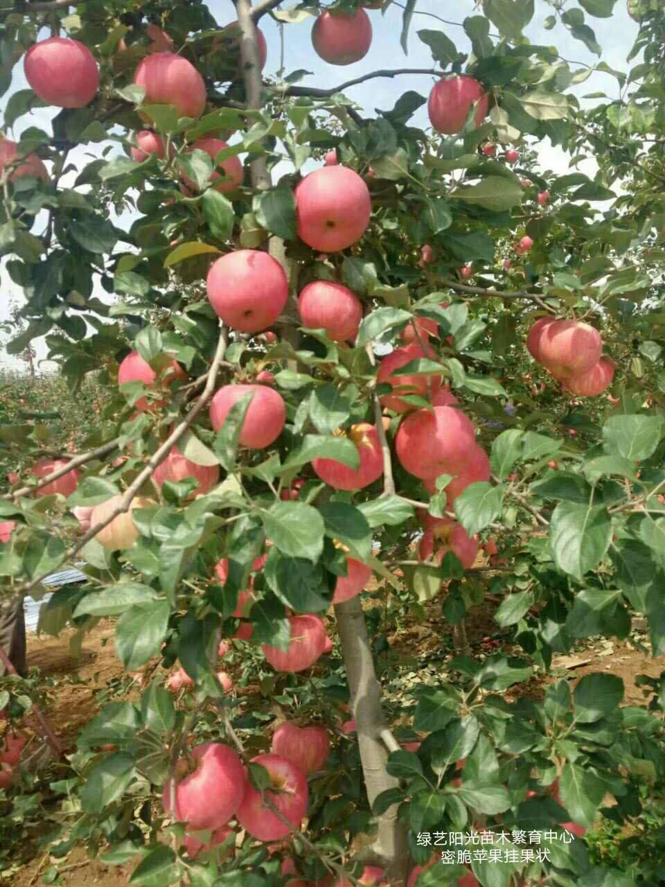 微信图片_20170915111106.jpg 微信图片_20170915111106.jpg