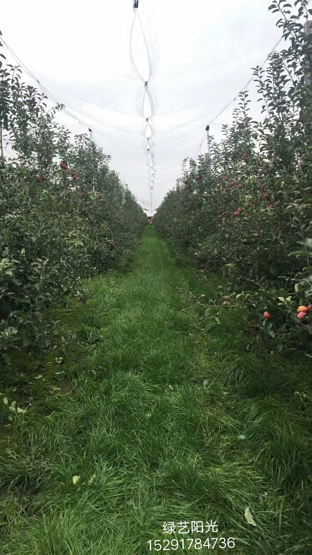 IMG_20171017_115826.JPG IMG_20171017_115826.JPG